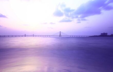 সরকারি সেবায় জবাবদিহি বাস্তবায়নে কোন বিষয়গুলো সবচেয়ে জরুরি — বিশেষ বিশ্লেষণ 51